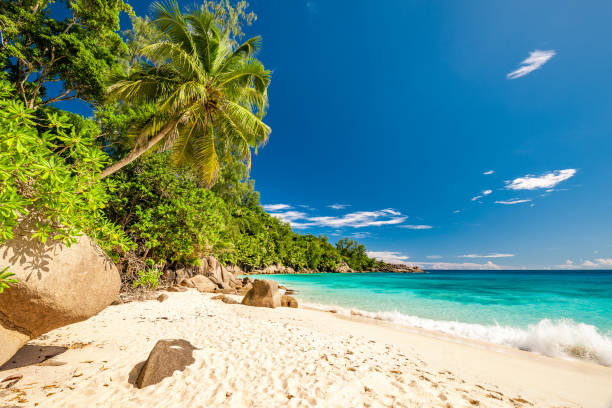 istock Beautiful Anse Intendance beach at Seychelles 672609344