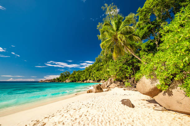 istock Beautiful Anse Intendance beach at Seychelles 672609348