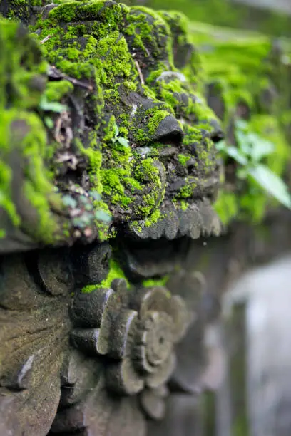 Photo of Old face overgrown with green moss