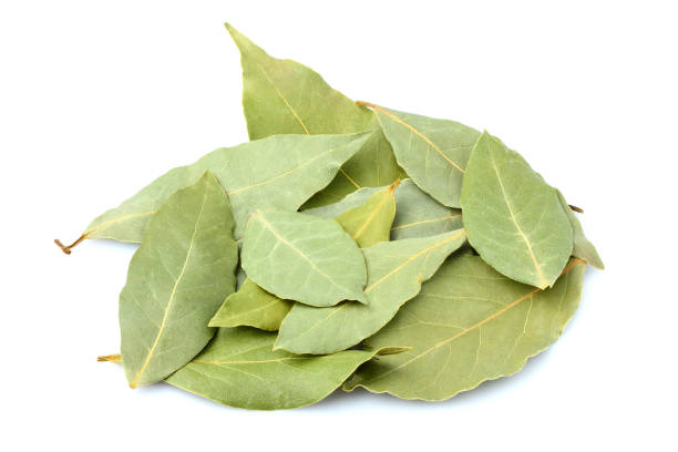 istock A bunch of spices, a dry Laurel leaf isolated. 672613156