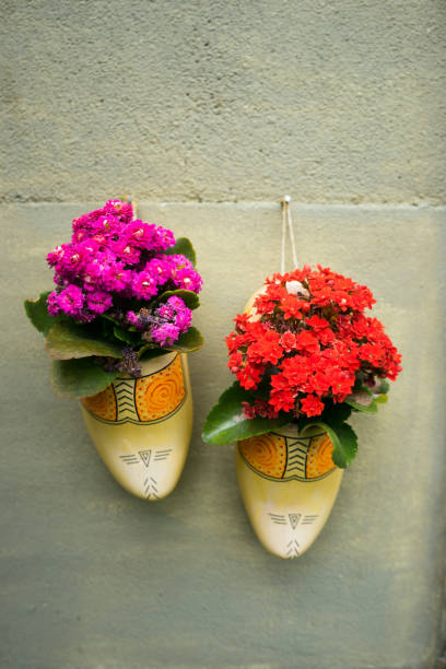Dutch clogs flower pots hanging on garden wall with flowers