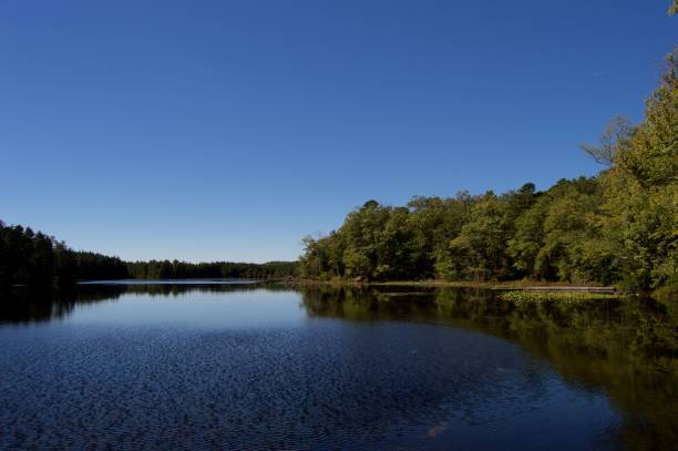 istock On the Lake at Wells Mills, New Jersey 672620482