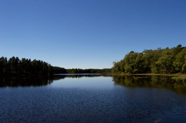istock On the Lake at Wells Mills, New Jersey 672620722