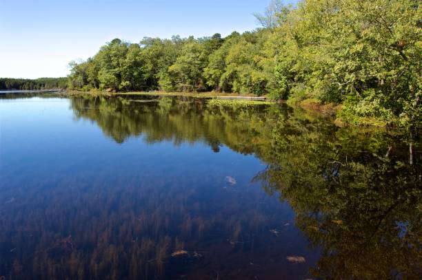 istock On the Lake at Wells Mills, New Jersey 672622106