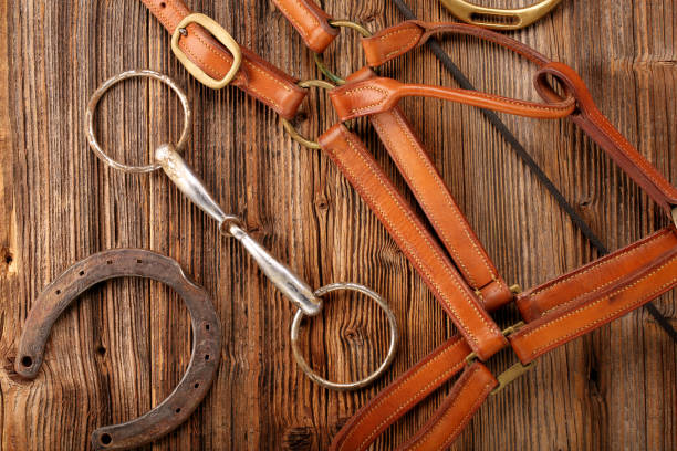 istock Set of horse equipment 672626316