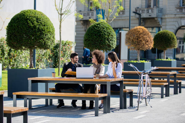 Young colleagues working in the park