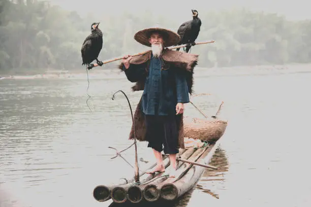 Traditional chinese 70+ years old senior fisherman in typical traditional clothes on his wooden fishing raft together with two cormorants return from fishing on the Li River. Xing Ping, close to Yangshuo County, Guangxi, Guilin, China. Edited, desaturated, washed out colors.