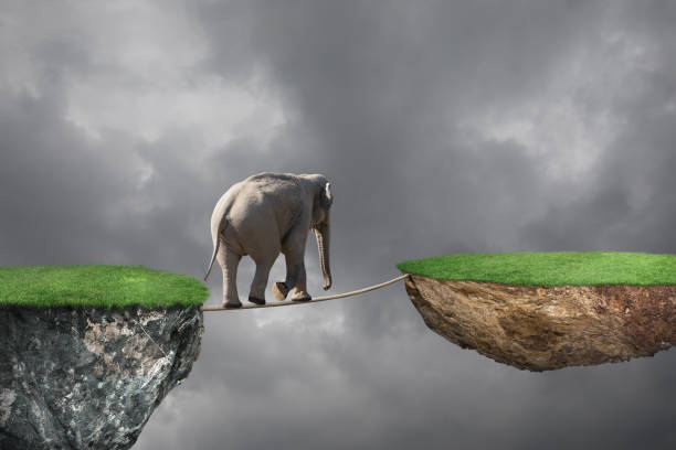 istock Elephant on tightrope stormy sky 672630310