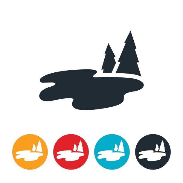 Fresh Water Lake A small fresh water lake with surrounding pine trees. lake stock illustrations