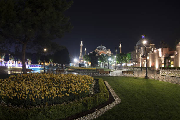 istock Tulip carpet with geometric patterns at Sultanahmet square in Istanbul, with people. 672631420