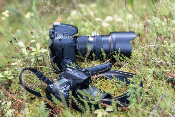 istock Pair of camera on grass in the wild world 672642984