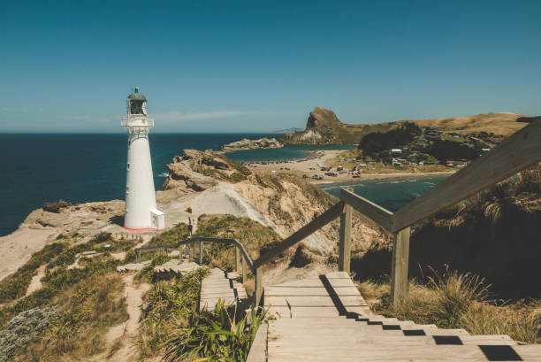 castlepoint nueva zelanda - castlepoint fotografías e imágenes de stock