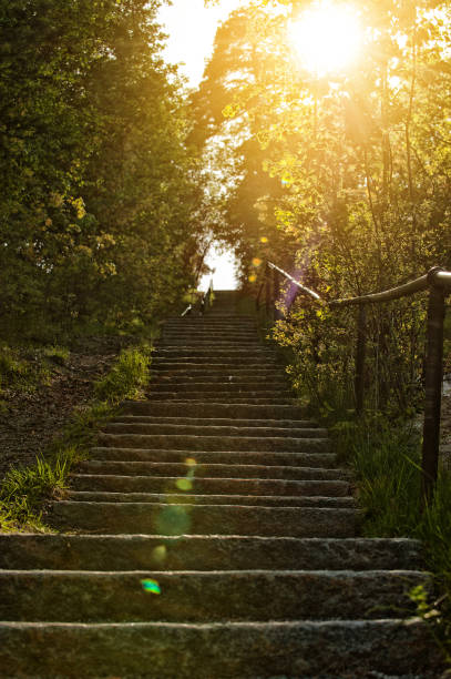 istock Sunset in stone stairs and trees 672656738