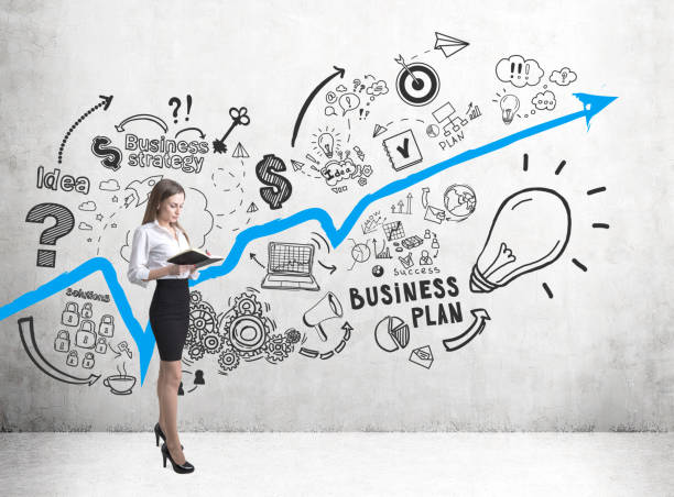 istock Woman with a book and blue graph with a plan 672660738