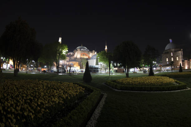 istock Tulip carpet with geometric patterns at Sultanahmet square in Istanbul, with people. 672667588