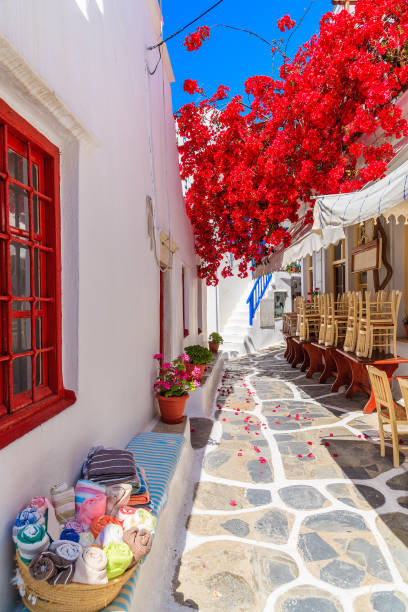 una calle estrecha con casas de flores decoradas en ciudad de mykonos, islas cícladas, grecia - travel locations cyclades islands santorini vertical fotografías e imágenes de stock