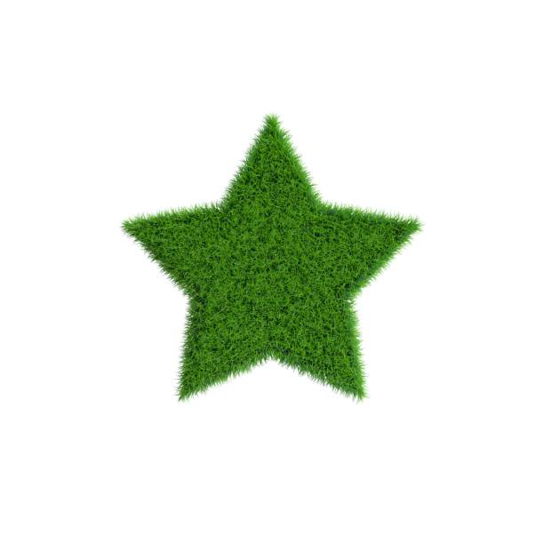 istock Patch of grass in form of star.3D rendering illustration. 672671108