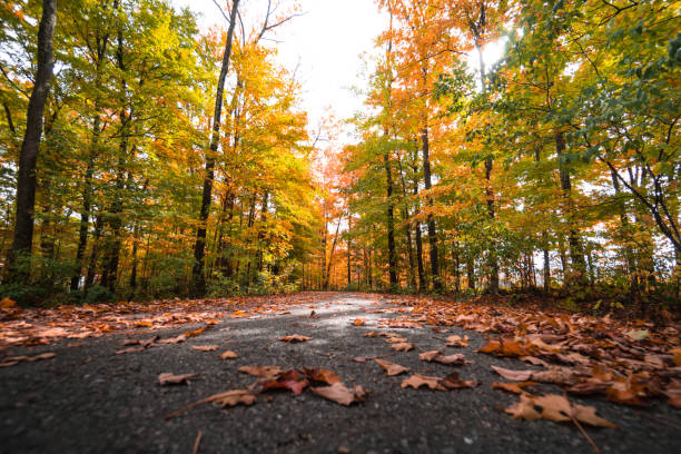 istock on the road in new england 672671880