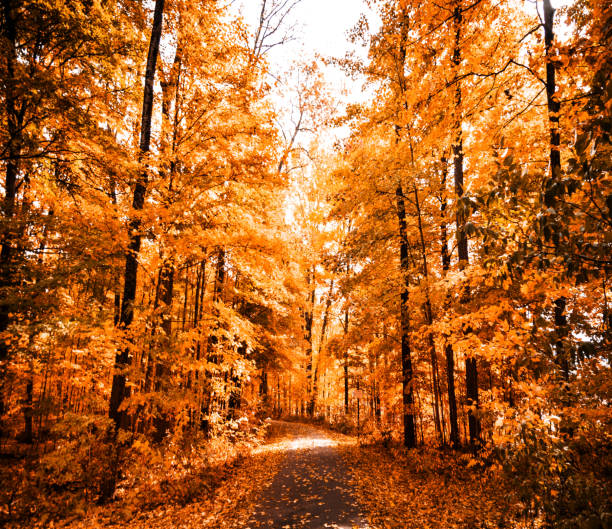 istock on the road in new england 672672166