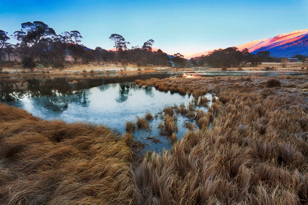istock SM crackenback grass frost 672677534