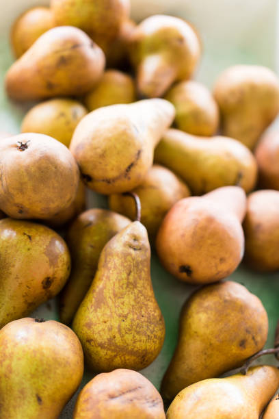 istock Pears farmers market 672677808