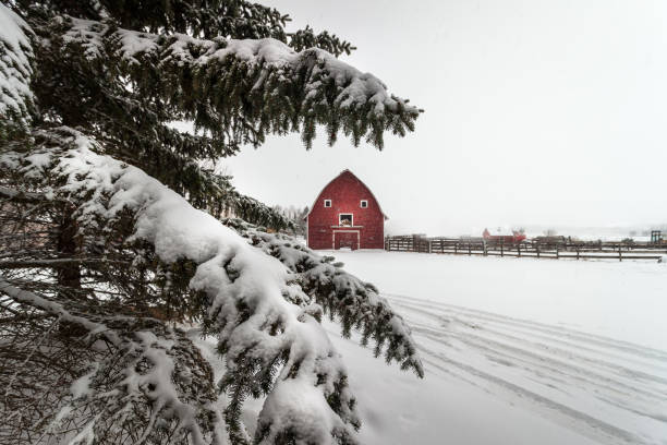 istock Red barn on the Prairies 672681360