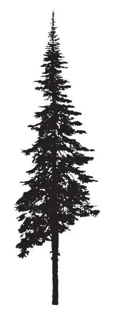 Vector illustration of Single Pine Tree Silhouette