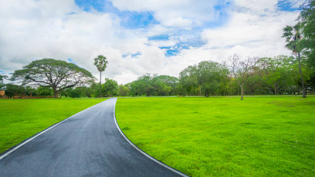 istock green field and grassland with tree in blue sky 672697380