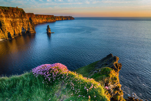 la côte de l’irlande des falaises de moher west - republic of ireland cliffs of moher landscape cliff photos et images de collection