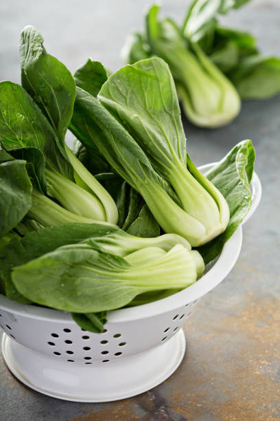 istock Fresh baby bok choy 672707174
