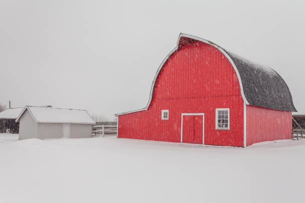 istock Red barn on the Prairies 672707398
