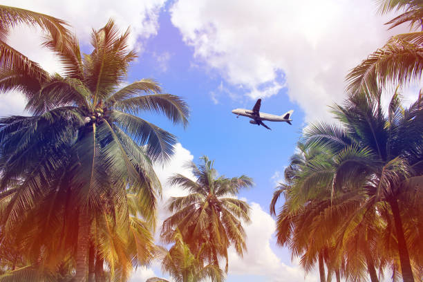 istock Airplane flying over tropical Coconut tree with color filters on blue sky background 672708298
