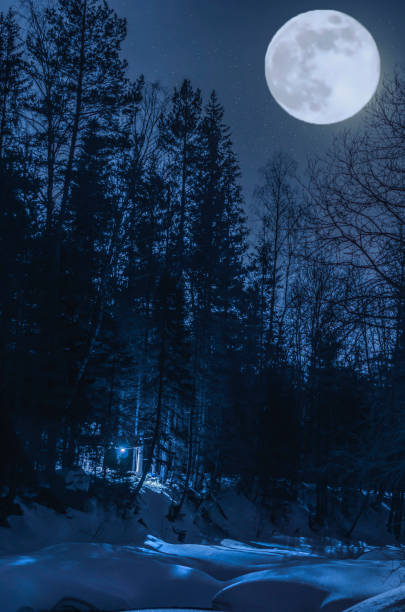 istock Night, winter forest in the moonlight 672711170