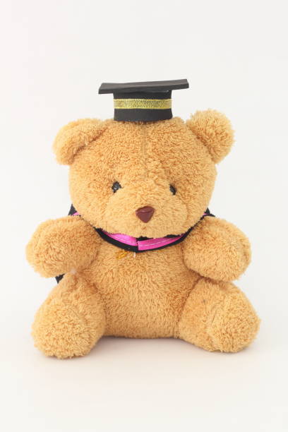 istock Brown bear wearing a graduation cap on a white background. 672728974