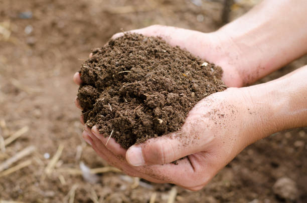 istock Plant organic compost fertilizer on farmer hand 672731968