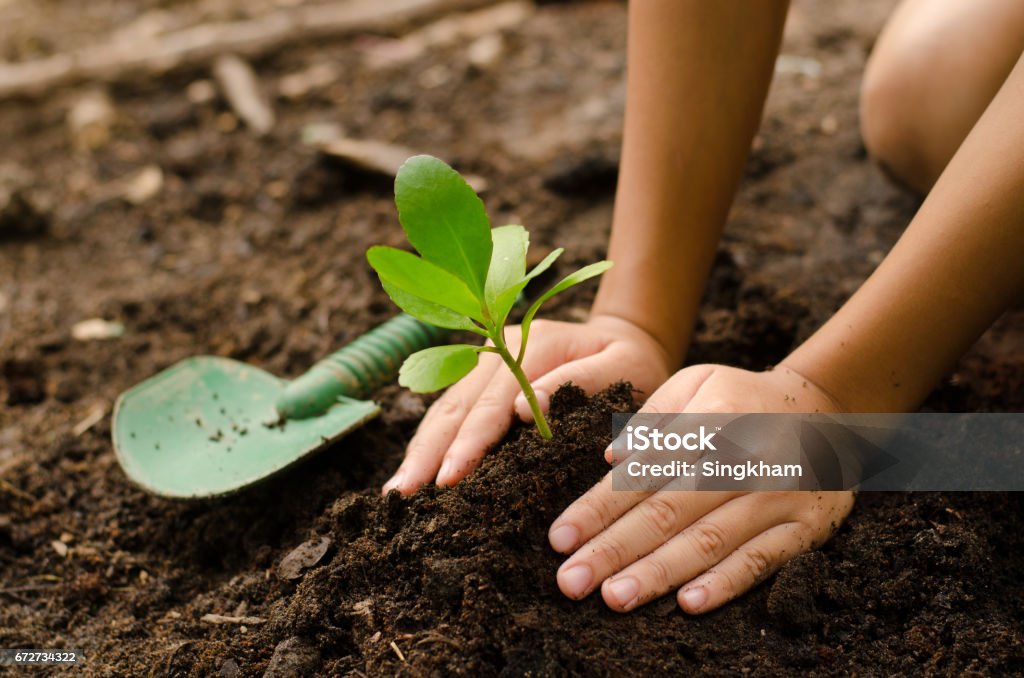 Primo tempo Kid piantare a mano giovane albero - Foto stock royalty-free di Bambino