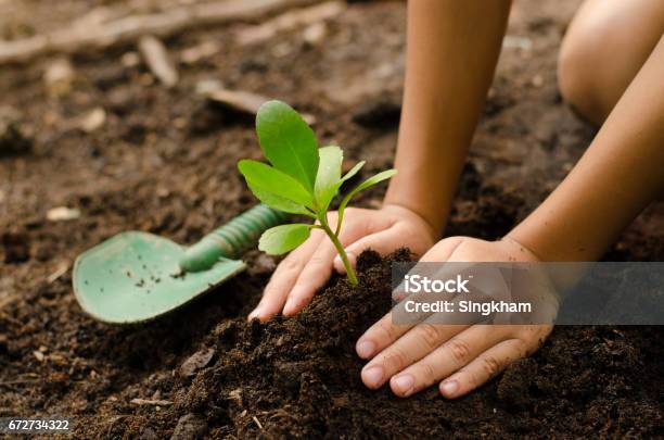 Primo Tempo Kid Piantare A Mano Giovane Albero - Fotografie stock e altre immagini di Bambino - Bambino, Piantare, Giardinaggio