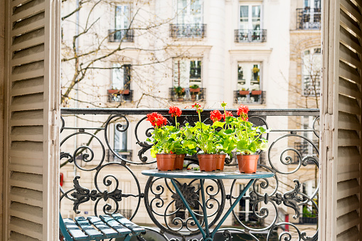 Springtime with red geraniums on a Paris balcony
