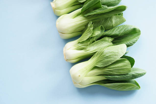Fresh Pak choi, asian cabbage