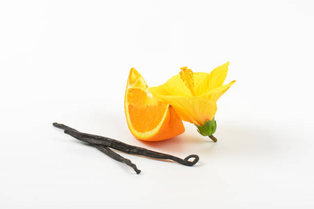 hibiscus, orange and vanilla pods on white background