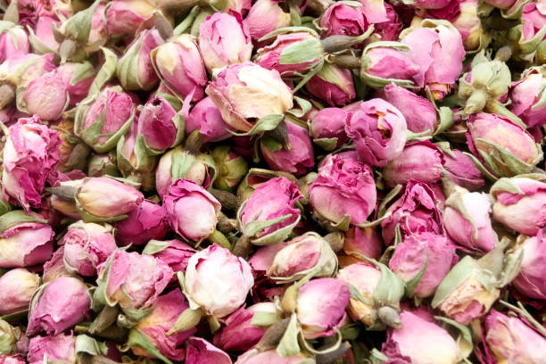 istock Dry rose buds, healthy herbal tea background. 672751152