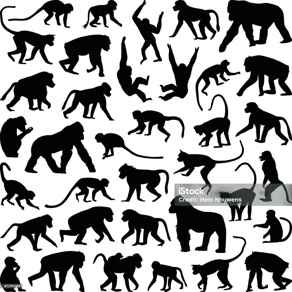 Ape and Monkey Ape and Monkey collection - vector silhouette Monkey stock vector