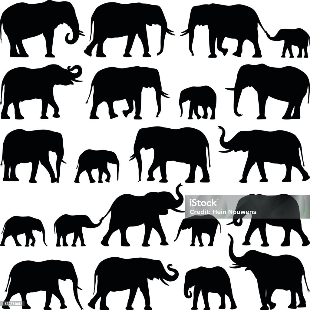 Elephants Elephant collection - vector silhouette illustration Elephant stock vector