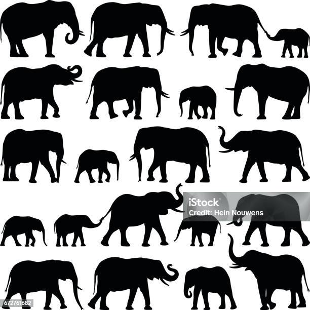 Elephants Stock Illustration - Download Image Now - Elephant, In Silhouette, Vector