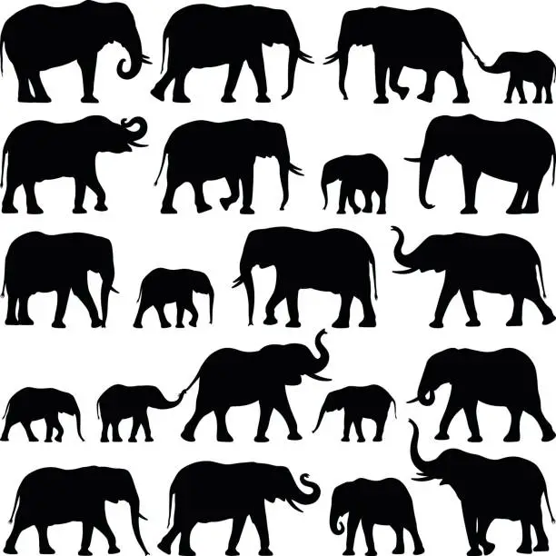 Vector illustration of Elephants