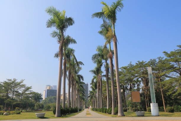 istock Central park Kaohsiung Taiwan 672762542