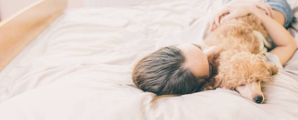 istock Young woman is lying and sleeping with poodle dog in bed. 672768190
