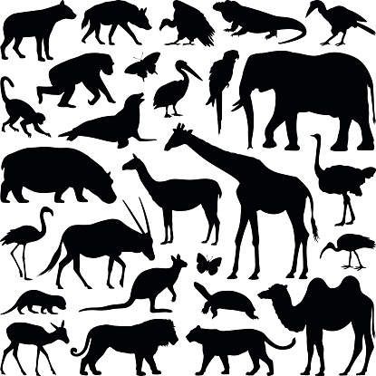 Zoo animal collection - vector silhouette illustration