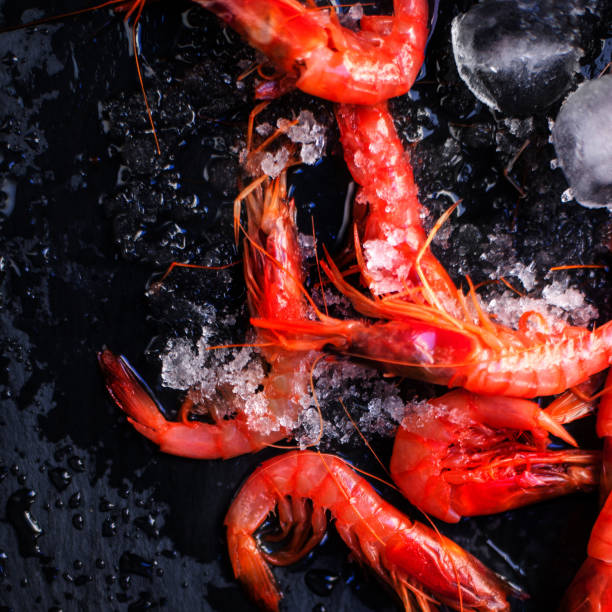 istock Fresh raw shrimps on black background with ice - Food background with copyspace 672768672