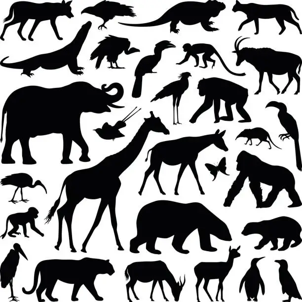 Vector illustration of Animals